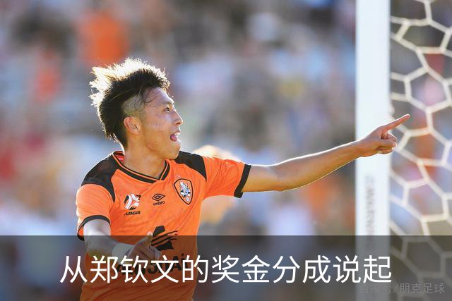 从郑钦文的奖金分成说起